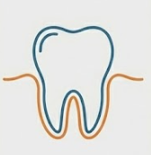 Dental Crown Icon